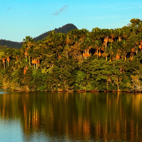 The Laguna del Mundo Perdido in the Cordillera Azul project. Photo © Alvaro del Campo.