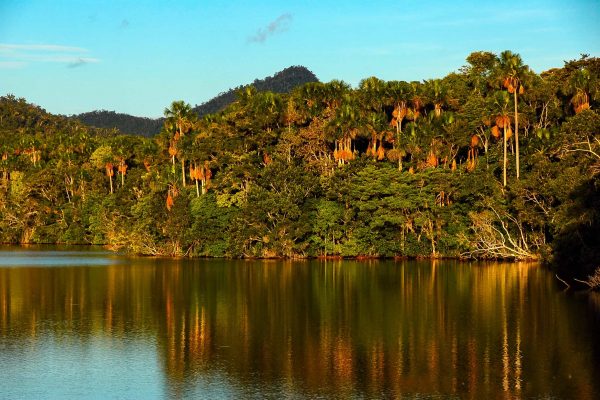 The Laguna del Mundo Perdido in the Cordillera Azul project. Photo © Alvaro del Campo.