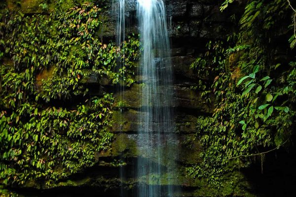 Une chute d'eau dans le projet Cordillera Azul.