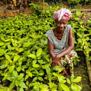 Nancy Mansarray, une habitante de la forêt tropicale de Gola, avec des plantes de pépinière.
