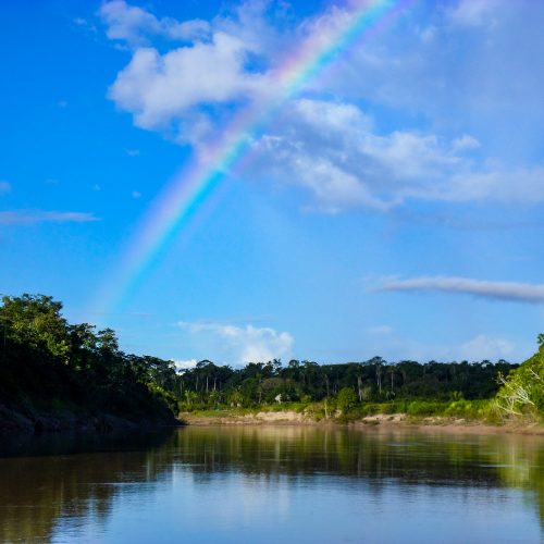 Een regenboog boven een meer in het Envira Amazonia project.