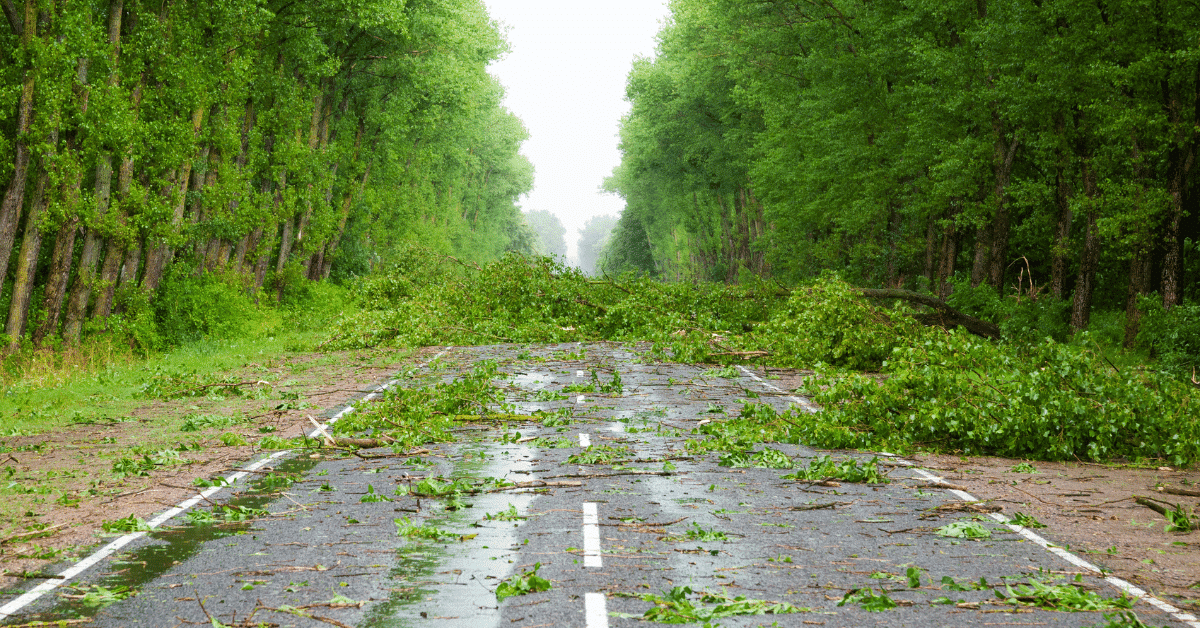 Here’s What Climate Change Means for Businesses Everywhere—and How to Prepare