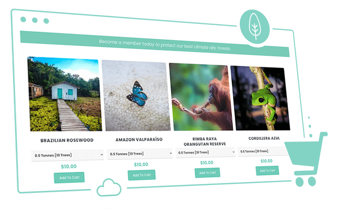 Shopping cart for carbon offsetting and saving trees with Stand For Trees