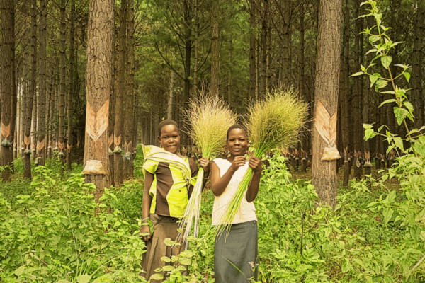 kinder-aus-bukaleba-stehen-im-wald