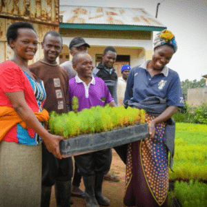 group of people golding tree seedlings bukaleba forest project