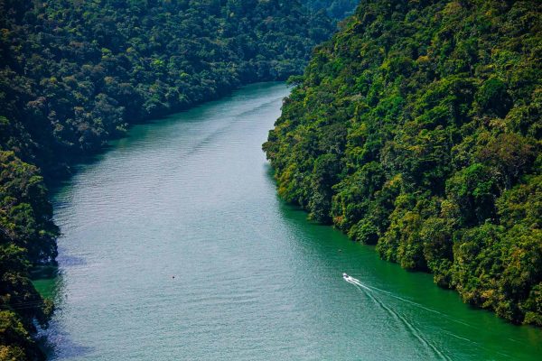 Ein Boot fährt im Rahmen des Projekts Karibikküste Guatemala einen Fluss hinauf.