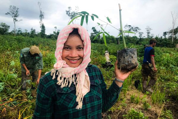 Une jeune fille tient un jeune arbre lors d’opérations de plantation d’arbres dans le cadre du projet Keo Seima, au Cambodge. (C) WCS.