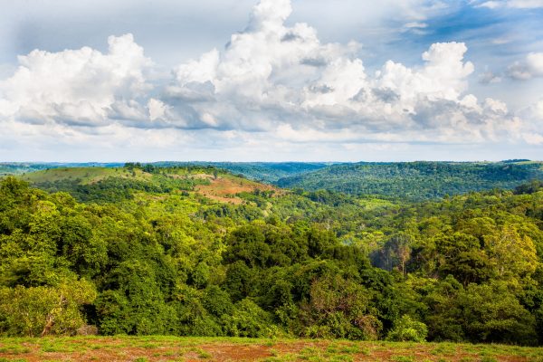 Paysage et forêt dans le projet Keo Seima, Cambodge.